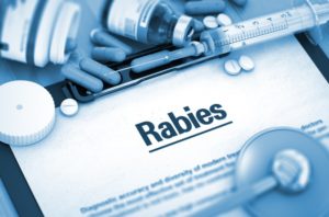 Rabies in the US