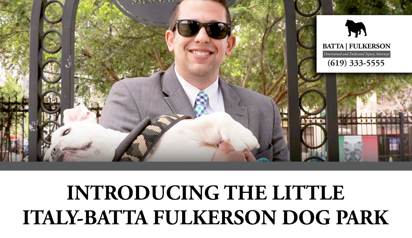 Featured image for “Introducing the Little Italy-Batta Fulkerson Dog Park”