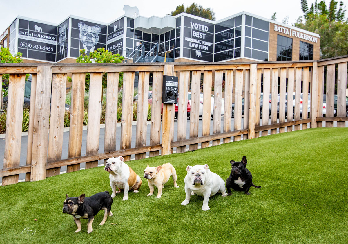 Featured image for “Dog Bite Settlement California: What’s It Worth?”