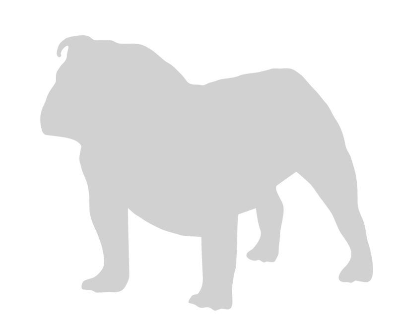 san diego car accident injury lawyer